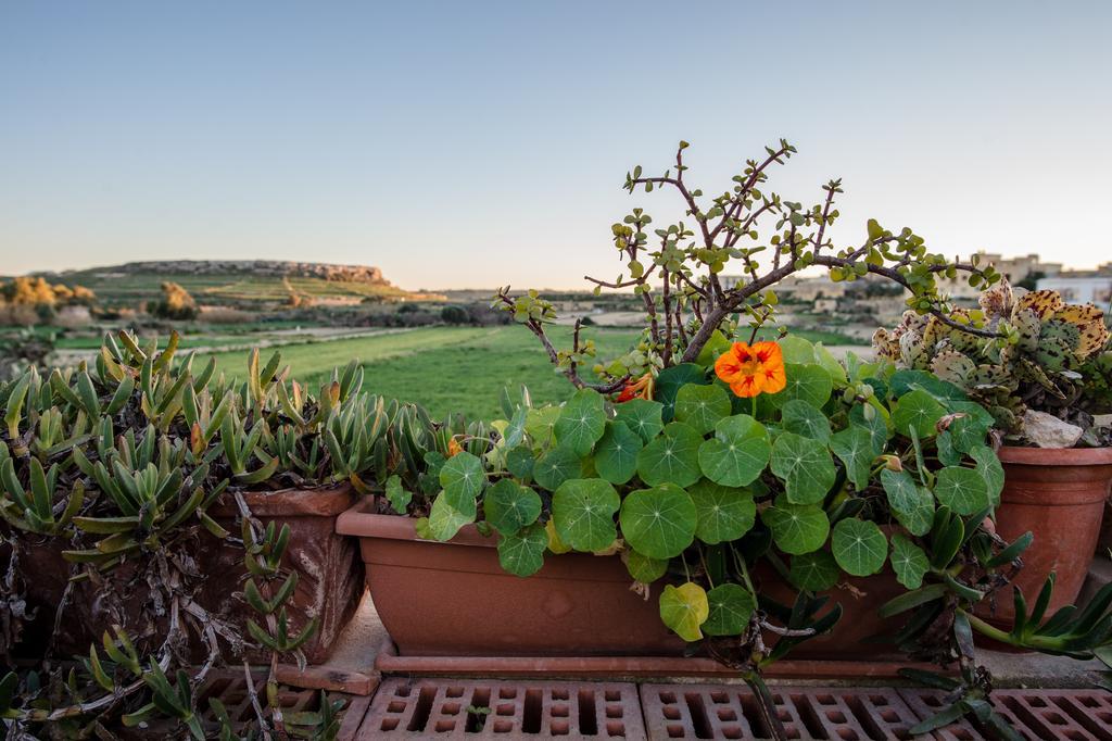 Villayana Holiday Home San Lawrenz Quarto foto